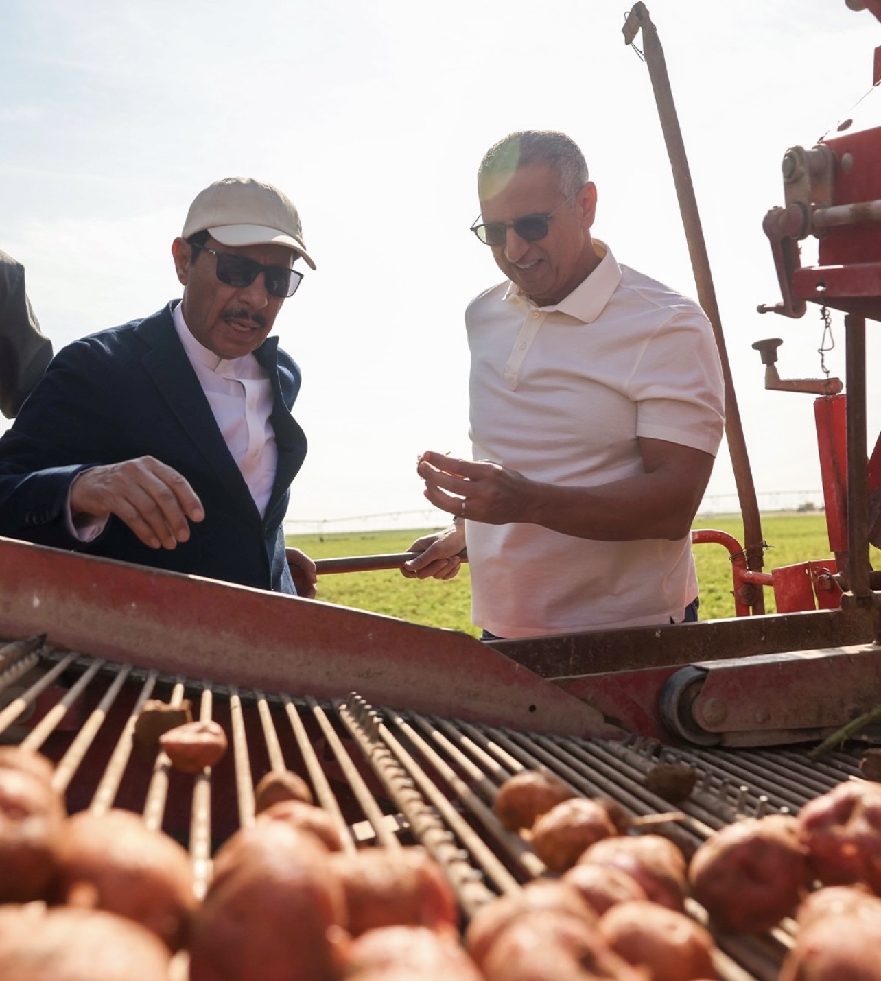Lays Potato Farms Social Campaign