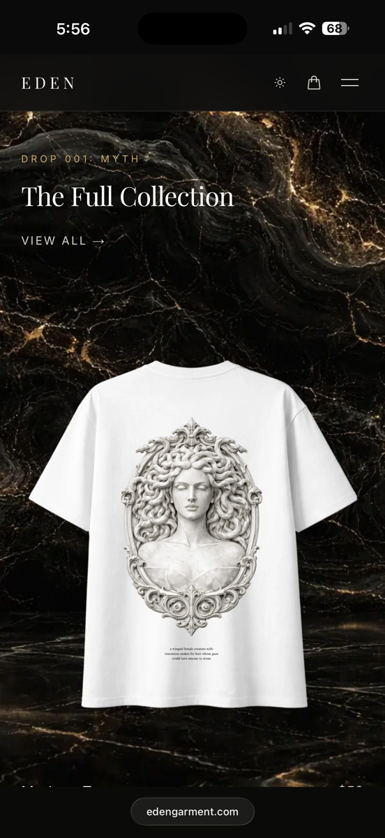 Ecommerce website