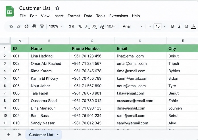 Data Entry and Spreadsheet Organization Using Google Sheets